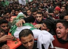 شهادت ۱۵۳ فلسطینی از ابتدای سال جاری