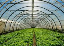واگذاری ۱۵ قطعه زمین گلخانه‌ای در شهرک کشاورزی بوعلی همدان