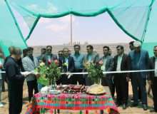 سه گلخانه تابع اقلیم در استان فارس به بهره برداری رسید