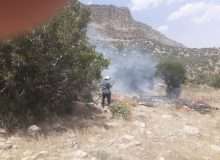 مهار آتش‌سوزی در منطقه حفاظت شده تنگ بستانک